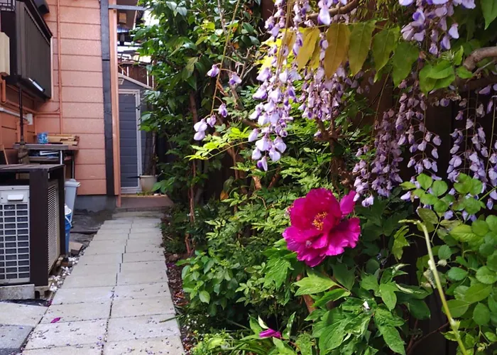藤紫fujimurasaki Japanese Classic House