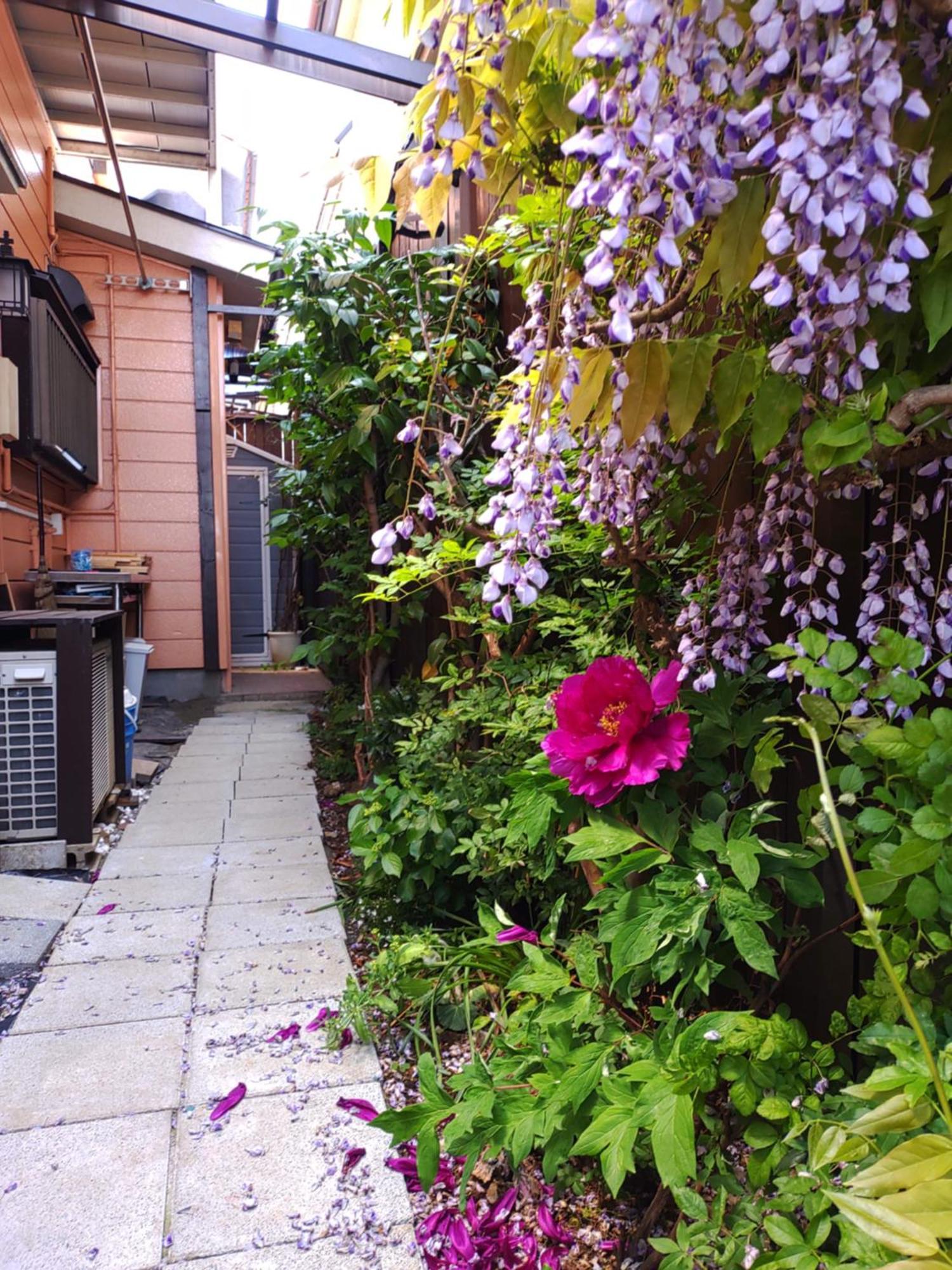 藤紫fujimurasaki Japanese Classic House * Präfektur Tokio
