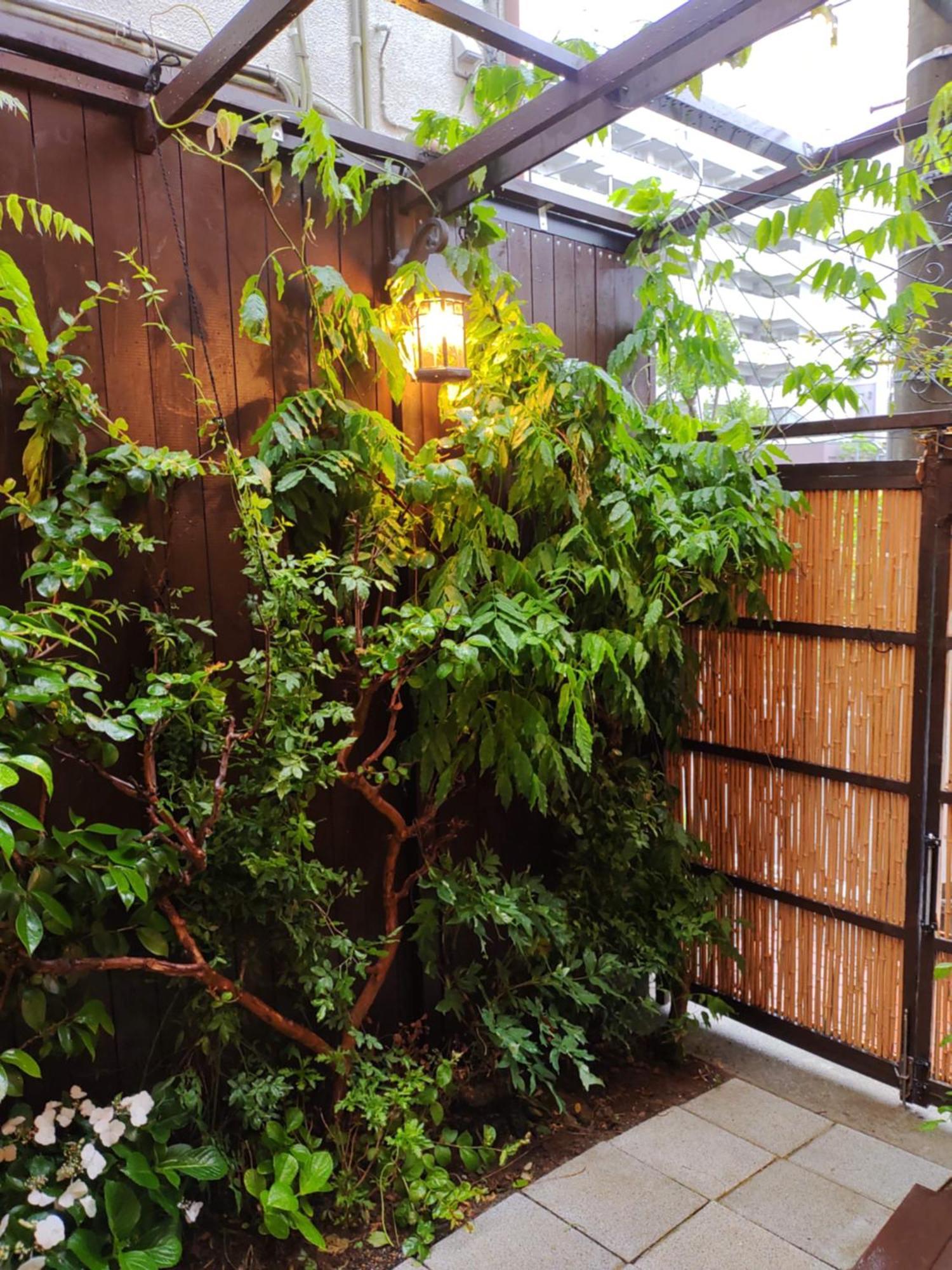 藤紫fujimurasaki Japanese Classic House * Präfektur Tokio